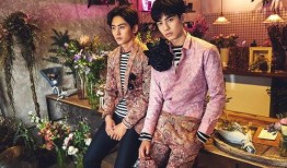 电视剧最新爆料